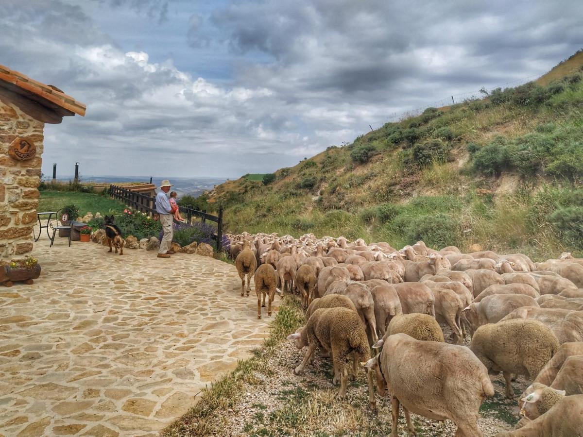 Masia El Cabrero Villarroya de los Pinares Exteriér fotografie