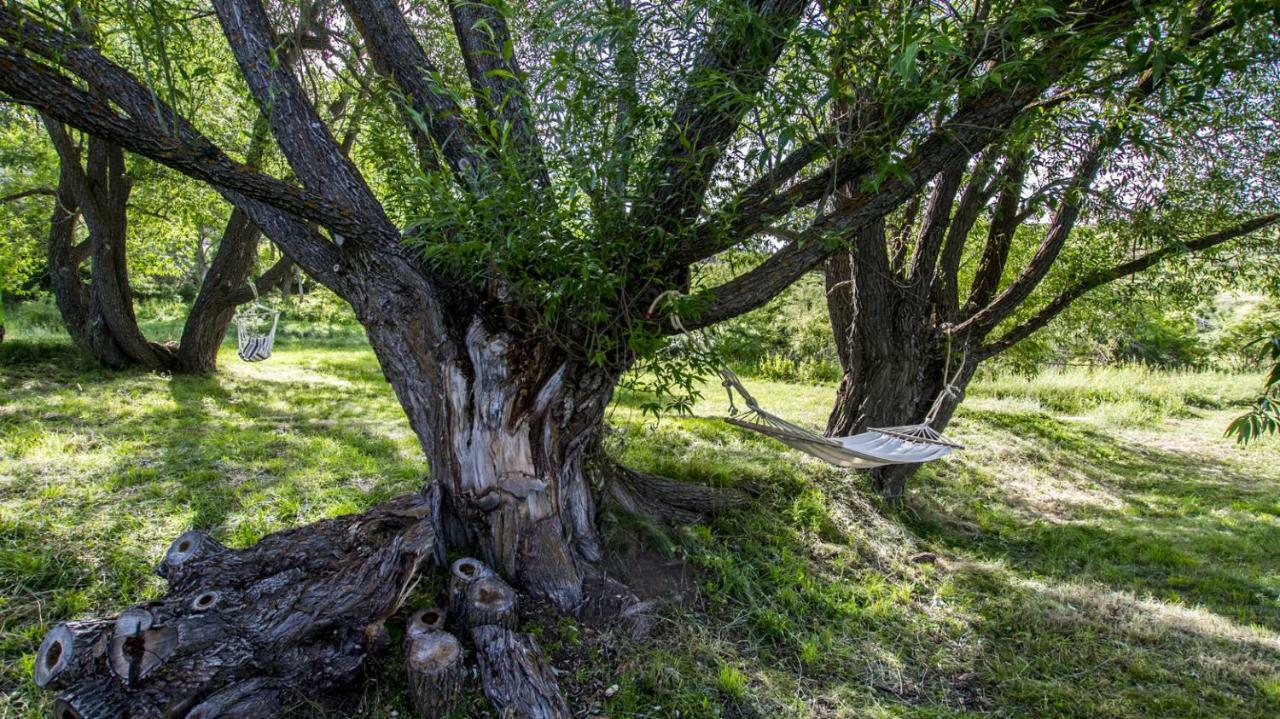 Masia El Cabrero Villarroya de los Pinares Exteriér fotografie